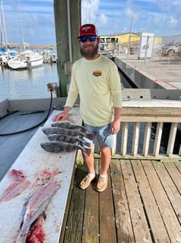 Black Drum Fishing in Rockport, Texas