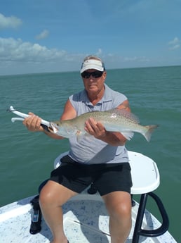 Speckled Trout / Spotted Seatrout fishing in South Padre Islands, Texas