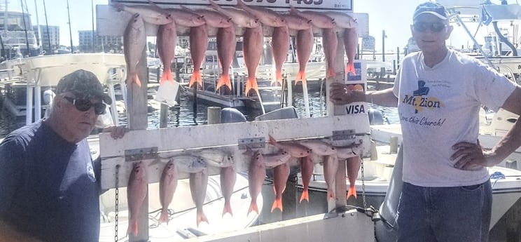 Grunt, Vermillion Snapper fishing in Destin, Florida