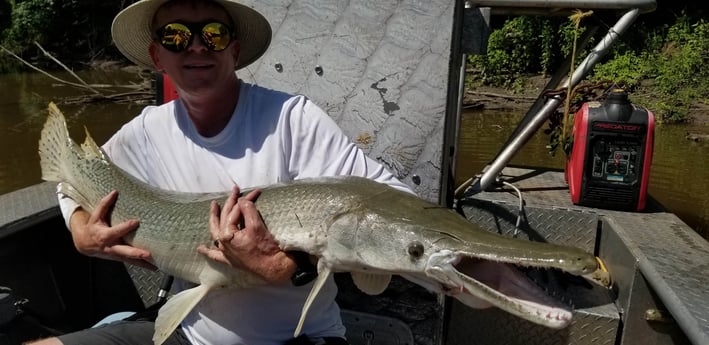 Alligator Gar fishing in Livingston, Texas