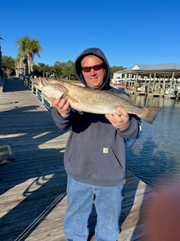 Fishing in Orange Beach, Alabama