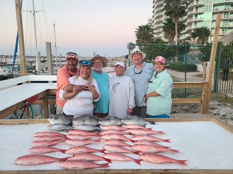 Triggerfish fishing in Orange Beach, Alabama