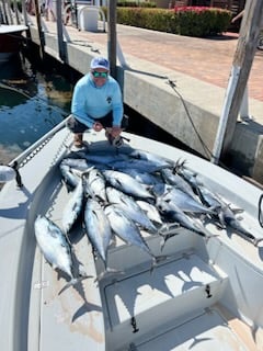 Blackfin Tuna Fishing in Key West, Florida