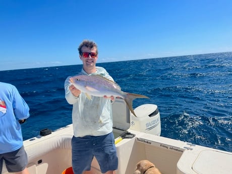 Yellowtail Snapper Fishing in Marathon, Florida