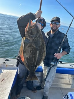 Halibut Fishing in Oxnard, California