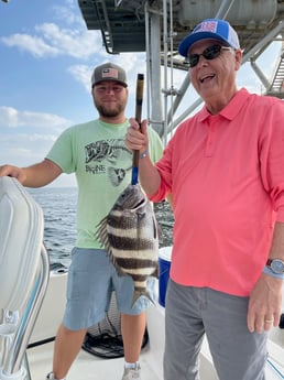 Sheepshead Fishing in Gulf Shores, Alabama