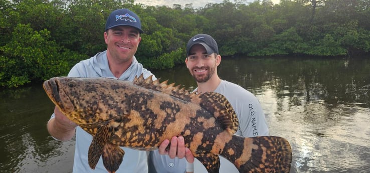 Fishing in Naples, Florida