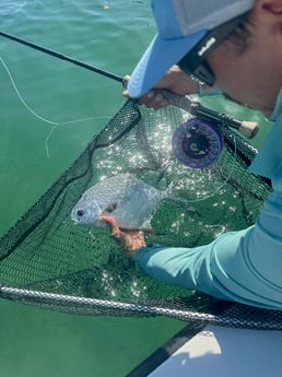 Fishing in Key West, Florida