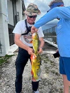 Fishing in Miami, Florida