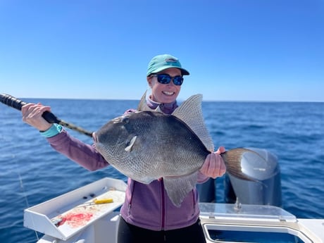 Gag Grouper fishing in Destin, Florida