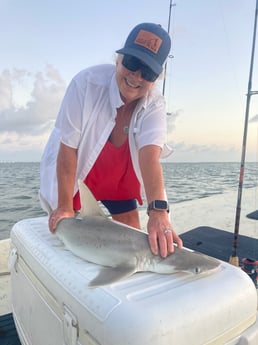 Bonnethead Shark fishing in Rockport, Texas