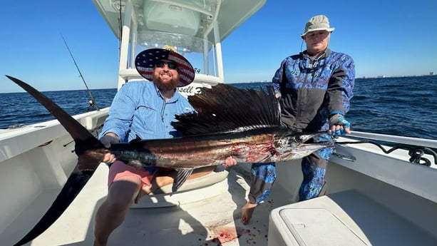 Sailfish Fishing in Panama City, Florida