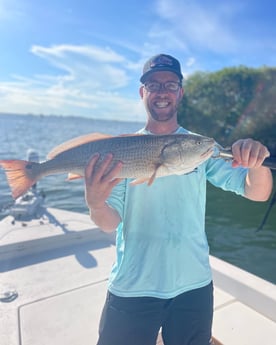 Redfish fishing in Sarasota, Florida