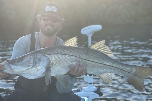 Snook fishing in Clearwater, Florida