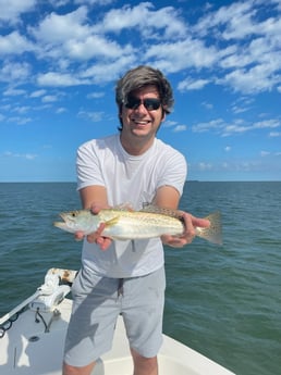 Speckled Trout / Spotted Seatrout Fishing in Islamorada, Florida