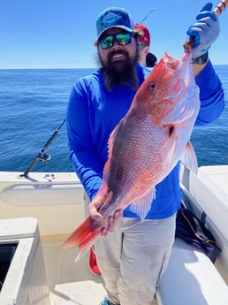 Red Snapper Fishing in Destin, Florida