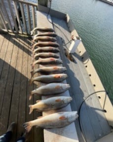 Redfish Fishing in Rockport, Texas