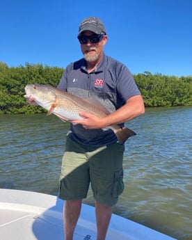 Redfish fishing in Fort Myers, Florida