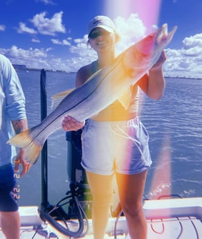 Snook fishing in Clearwater, Florida