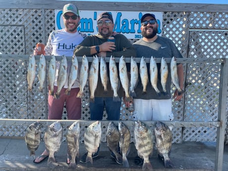 Sheepshead, Speckled Trout / Spotted Seatrout fishing in Corpus Christi, Texas