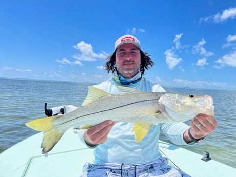 Snook Fishing in Islamorada, Florida