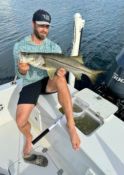 Fishing in Tampa, Florida