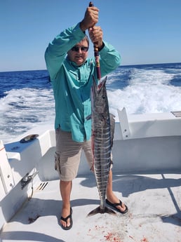 Wahoo fishing in Destin, Florida