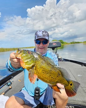 Fishing in Fort Lauderdale, Florida