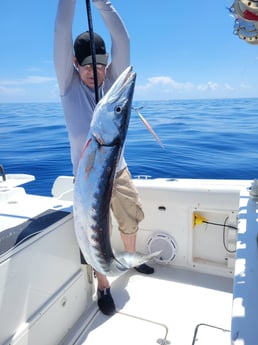 Barracuda fishing in Fort Lauderdale, Florida