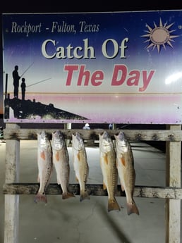 Redfish fishing in Rockport, Texas