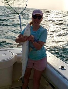 Blacktip Shark Fishing in Galveston, Texas