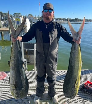 Mahi Mahi / Dorado Fishing in Santa Rosa Beach, Florida