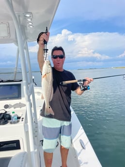 Fishing in Orange Beach, Alabama