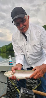 Rainbow Trout Fishing in Broken Bow, Oklahoma