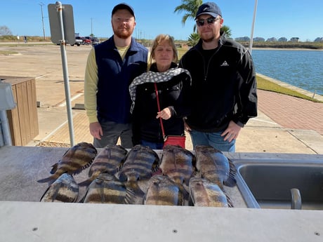 Sheepshead fishing in Galveston, Texas