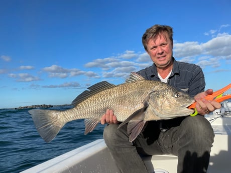 Black Drum fishing in Port Orange, Florida