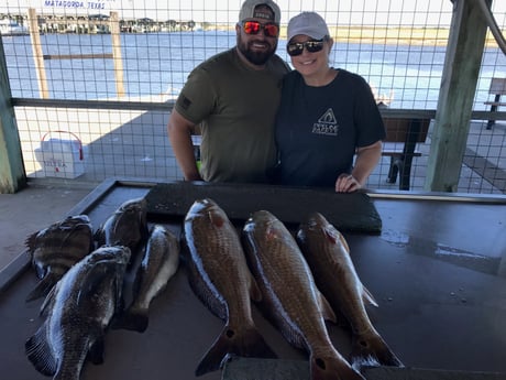 Black Drum, Redfish, Sheepshead Fishing in Matagorda, Texas