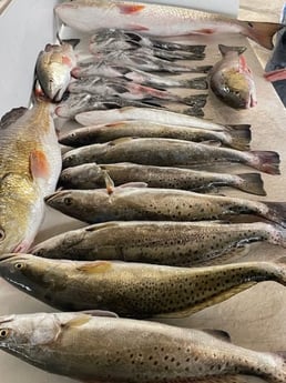 Fishing in Port O&#039;Connor, Texas