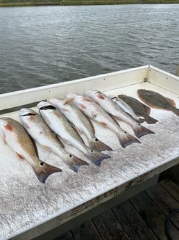 Flounder, Redfish fishing in Freeport, Texas