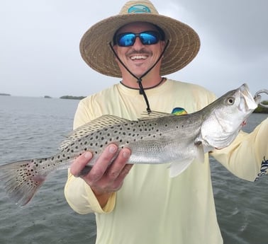 Speckled Trout / Spotted Seatrout fishing in New Smyrna Beach, Florida