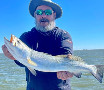 Speckled Trout / Spotted Seatrout Fishing in Corpus Christi, Texas