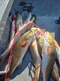 Fishing in Aransas Pass, Texas