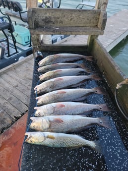 Redfish, Speckled Trout Fishing in South Padre Island, Texas