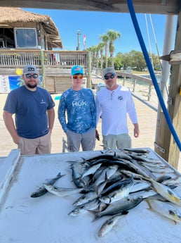 Florida Pompano, Spanish Mackerel Fishing in Orange Beach, Alabama