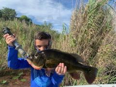 Peacock Bass Fishing in Palmetto Bay, Florida