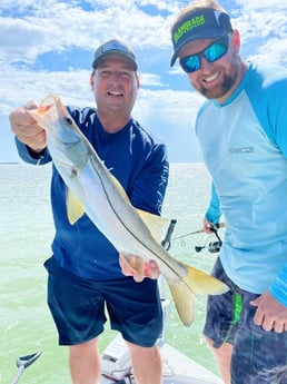 Snook fishing in Tavernier, Florida