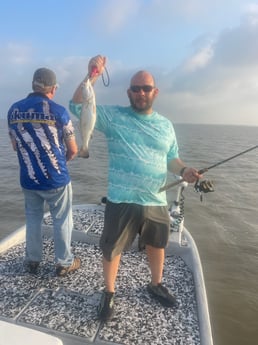 Black Drum, Hammerhead Shark, Speckled Trout / Spotted Seatrout fishing in Palacios, Texas