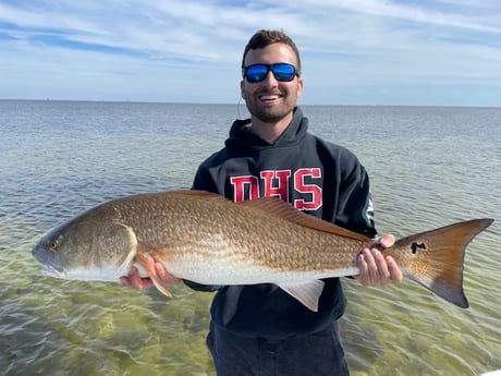 Redfish fishing in St. Petersburg, Florida