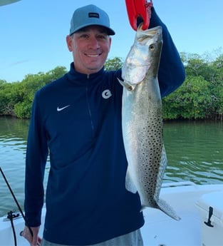 Speckled Trout / Spotted Seatrout fishing in Key Largo, Florida