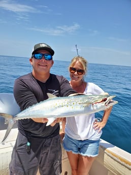 Spanish Mackerel fishing in Clearwater, Florida